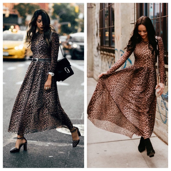 Ganni Leopard Tilden Long Sleeve Maxi Dress Sz 36 Small - Picture 3 of 14